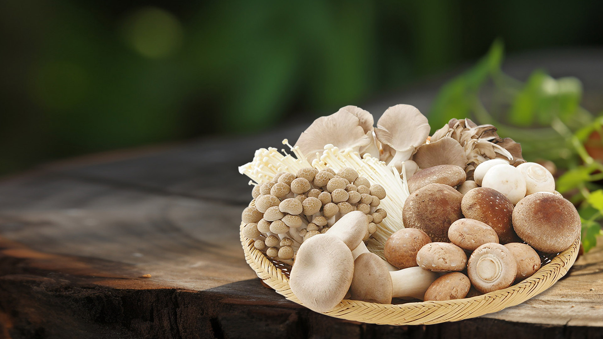 尊享会官网-追求健康,你我一起成长